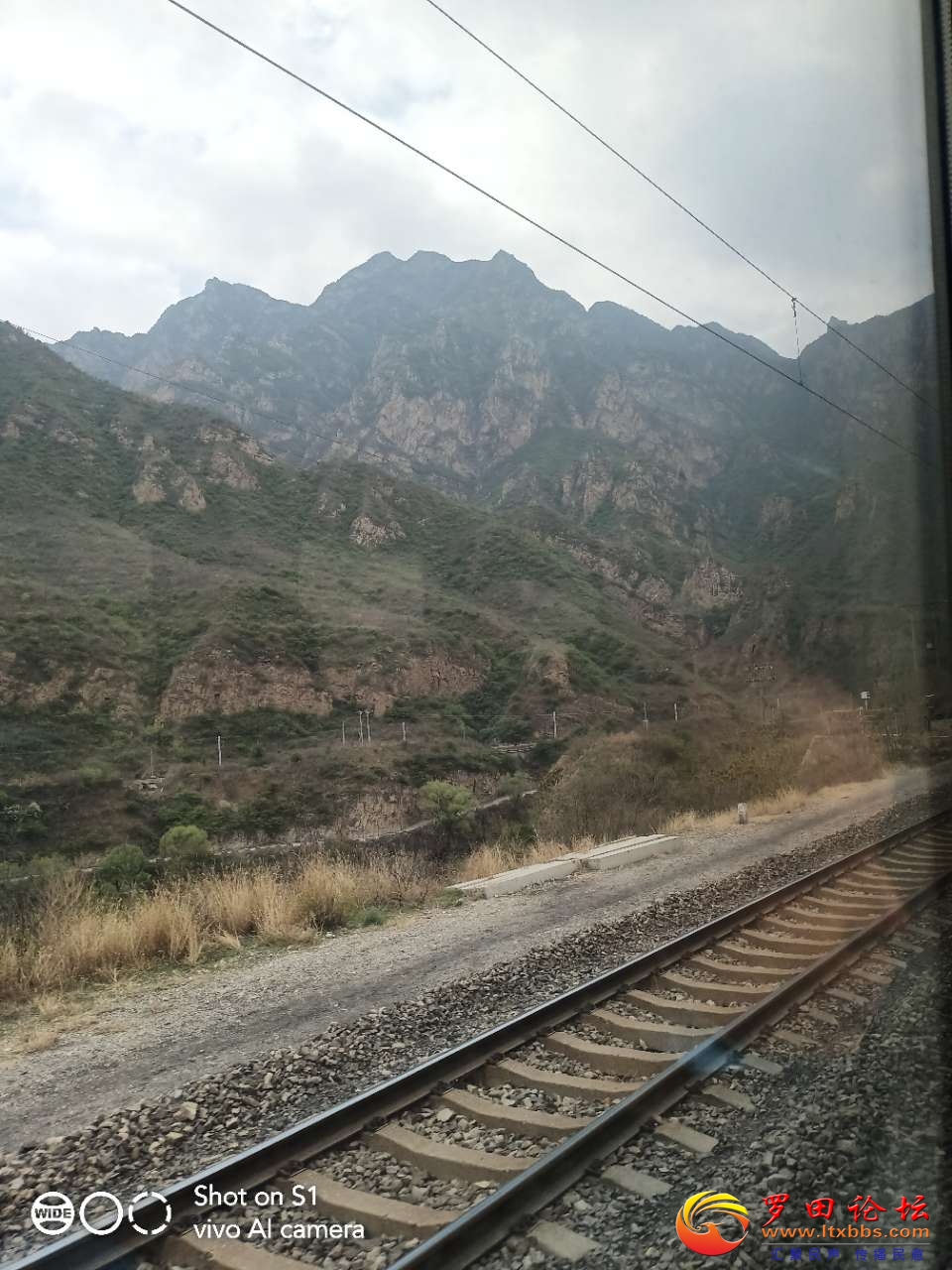 20210424_160_1619256665506.jpg