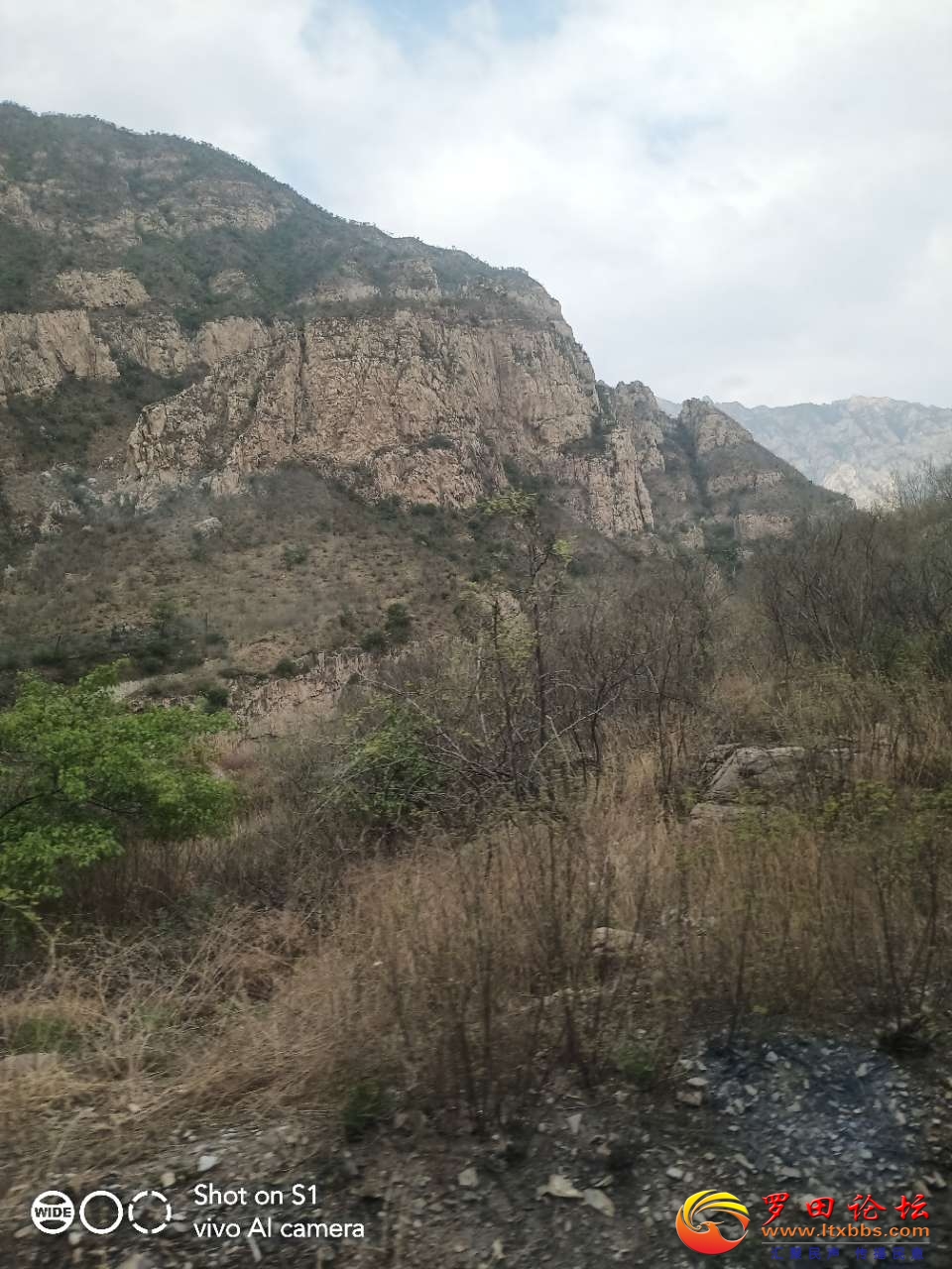 20210424_160_1619256666880.jpg