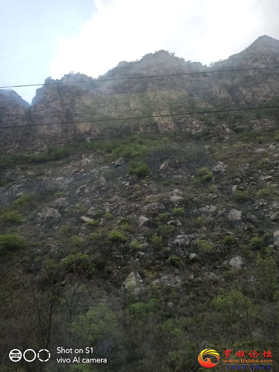 20210424_160_1619256758245.jpg