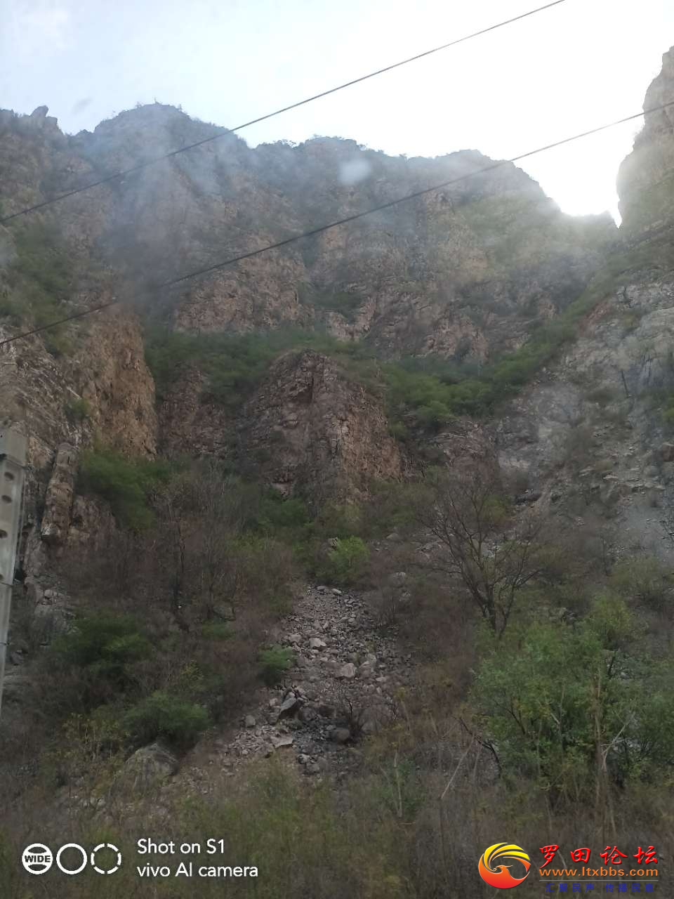 20210424_160_1619256757999.jpg