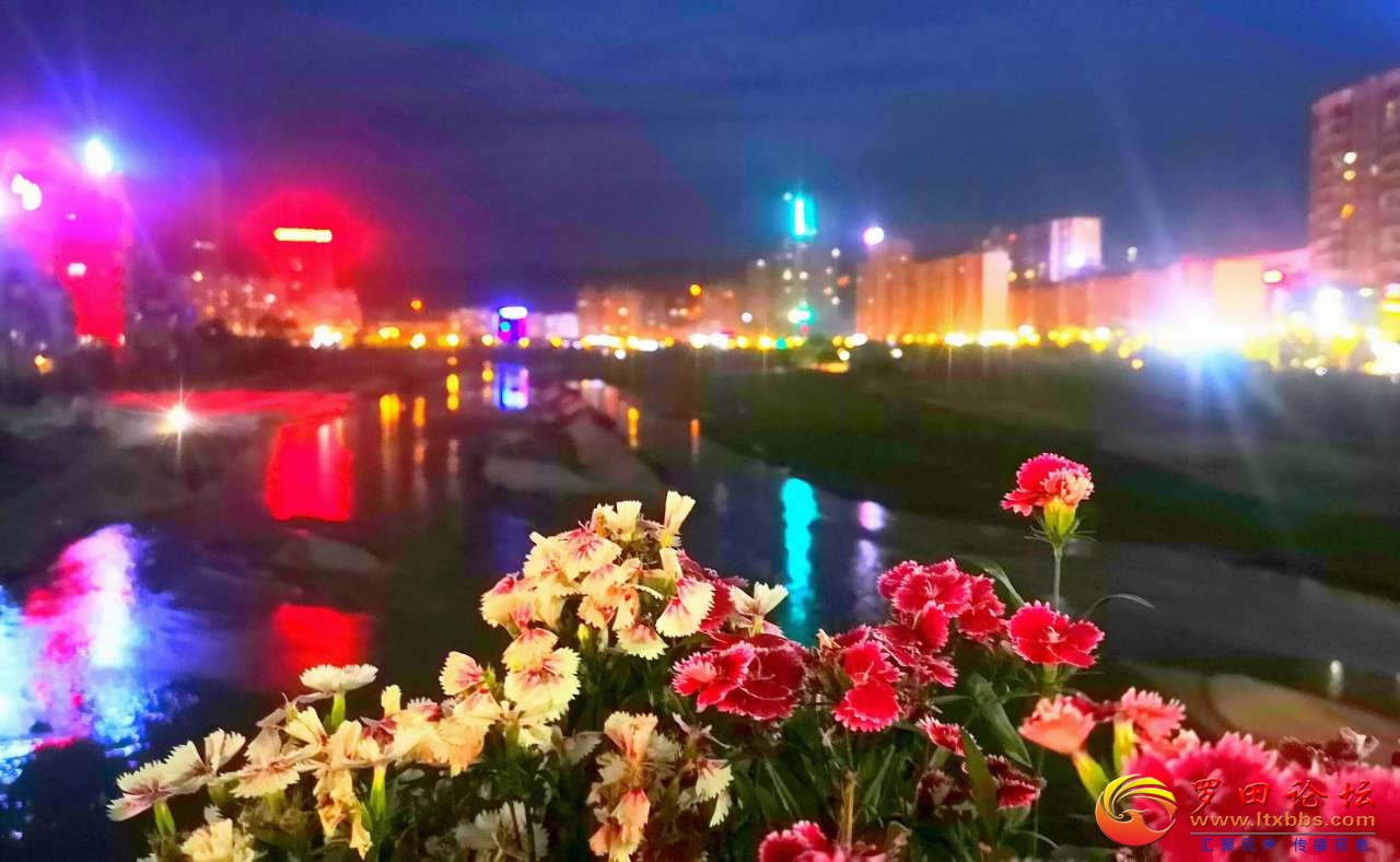 20210427_1160_1619482159362.jpg