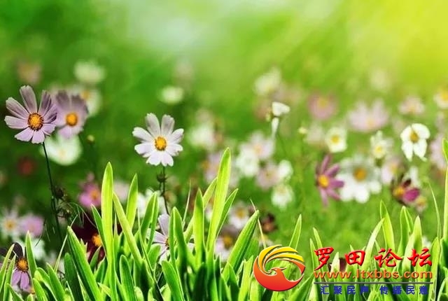 093728osy54gcc.jpg