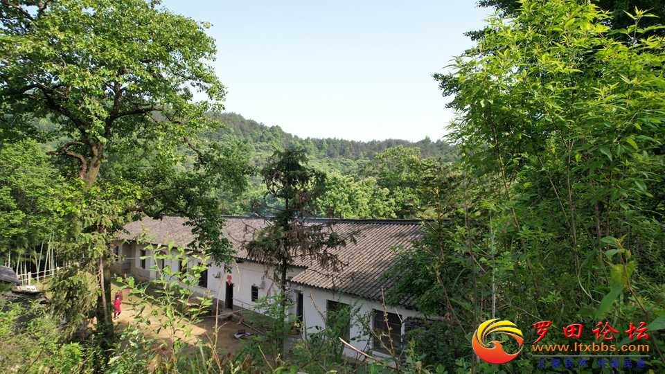 DJI_0565.JPG