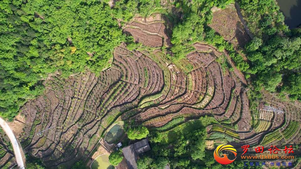 DJI_0593.JPG