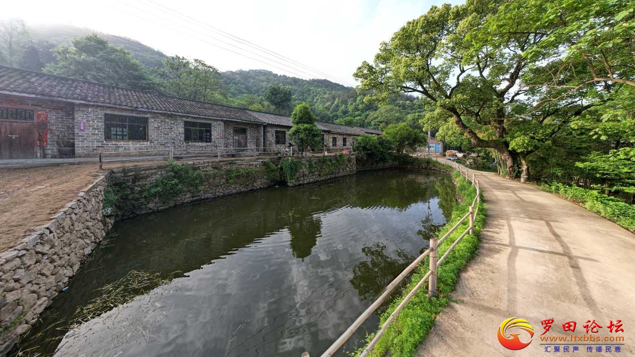 DJI_0463.JPG