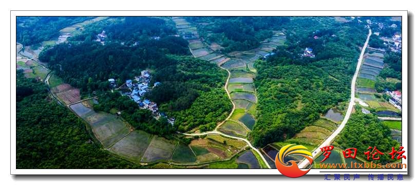 DJI_0947.jpg