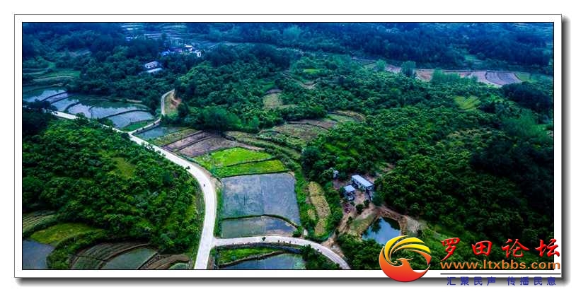 DJI_0950.jpg
