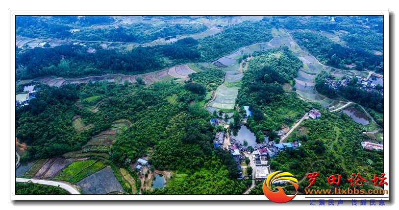 DJI_0944.jpg