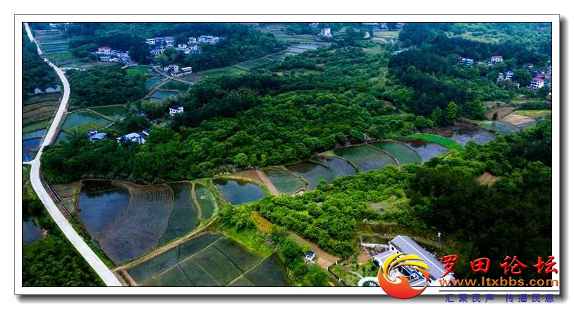 DJI_0953.jpg