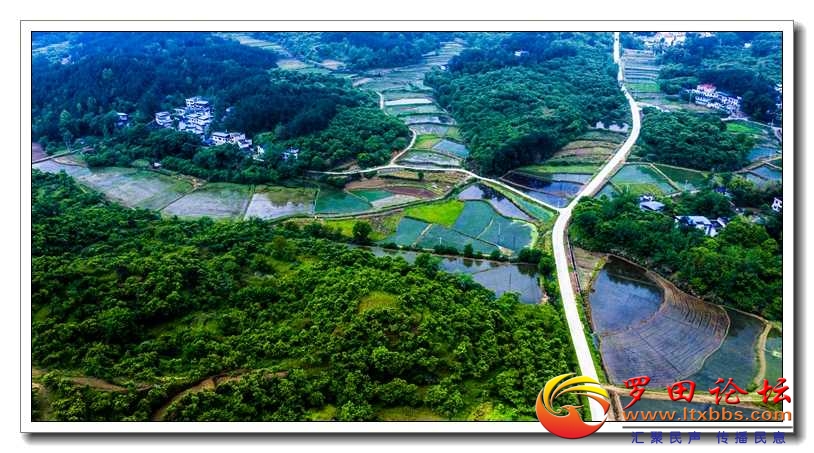 DJI_0954.jpg