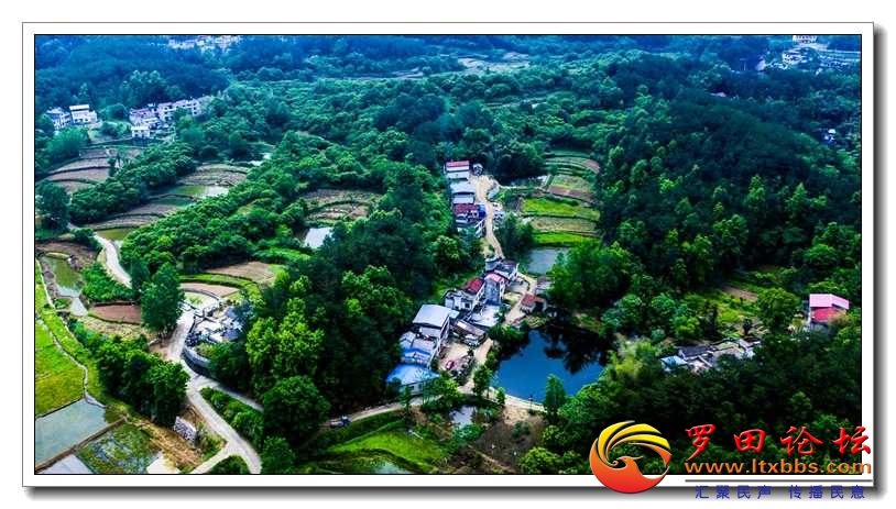 DJI_0956.jpg