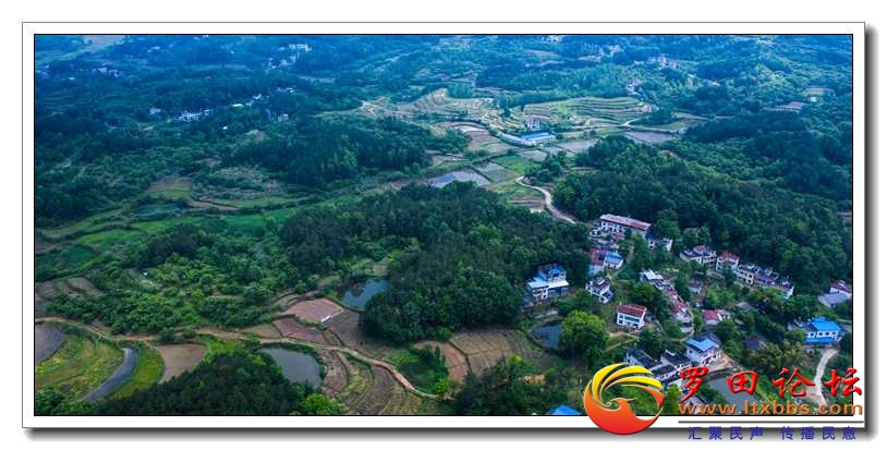 DJI_0966.jpg