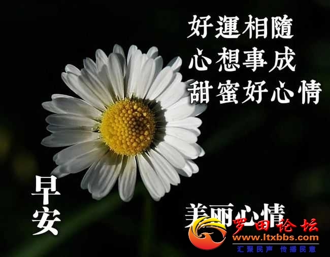 083700sze7egq6zfgcyo6q.jpg
