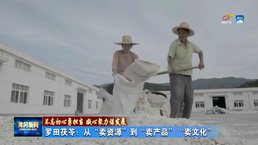 174902wf6e0vh6.png