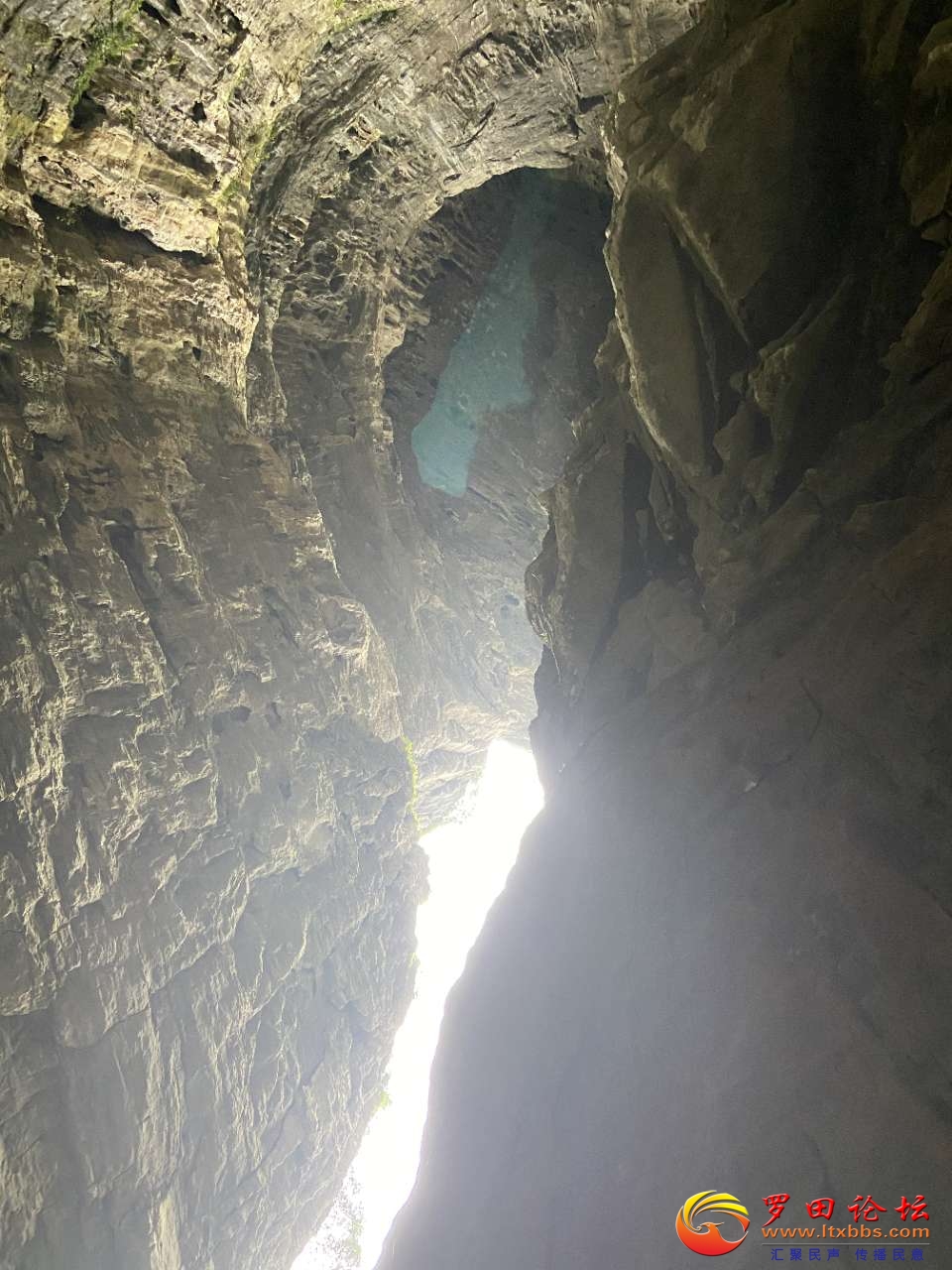 20210717_1160_1626529072742.jpg