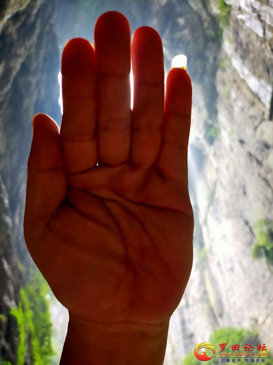 20210717_1160_1626530632777.jpg