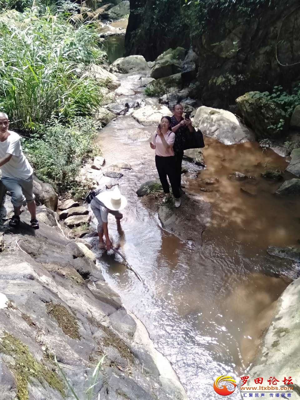20210722_78285_1626954774360.jpg