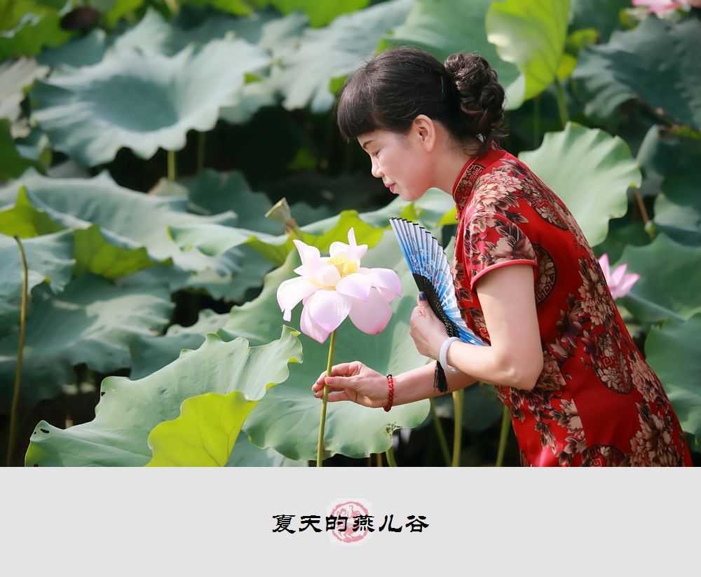 1B9A1372_副本.jpg