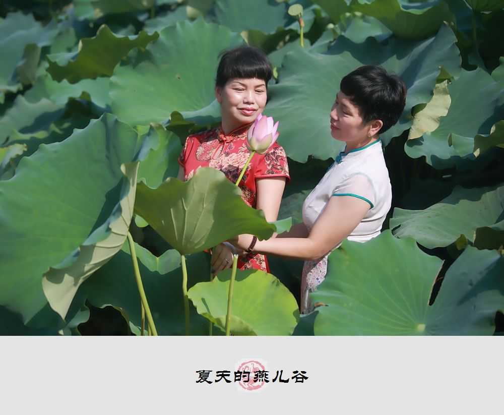 1B9A1381_副本_副本.jpg