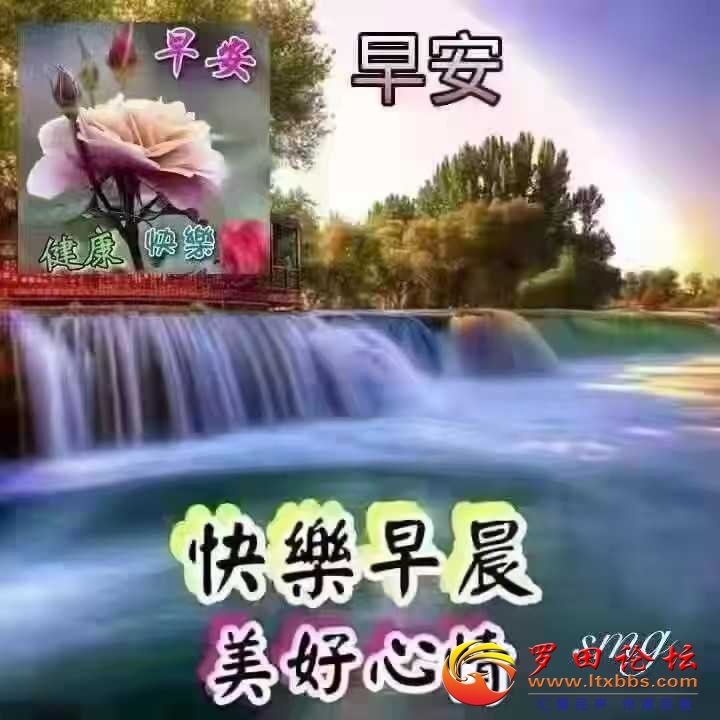 083735ph3t6o4epck40dvp.jpg