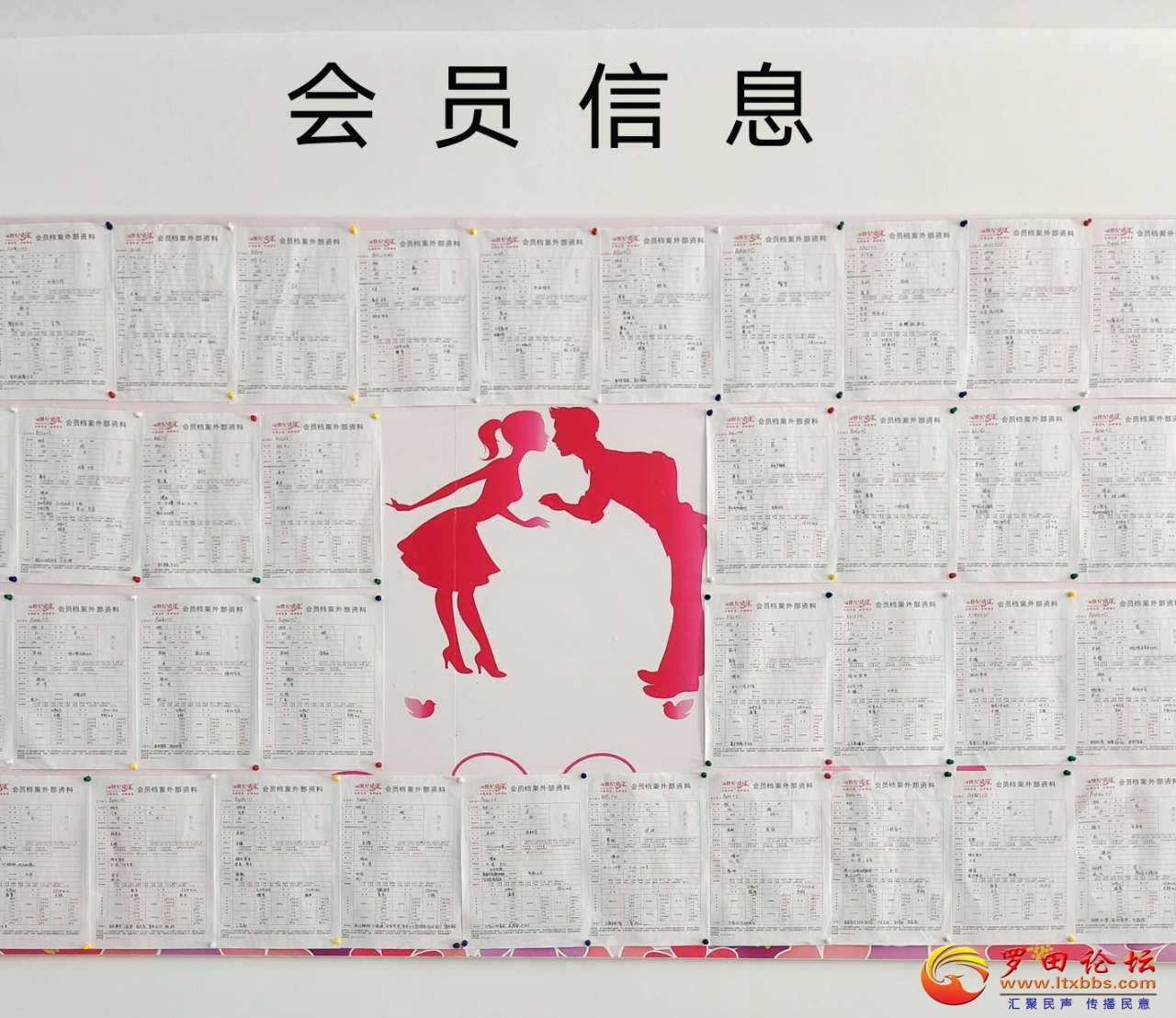 105143kvk0aw5jiekiiqfj.jpg