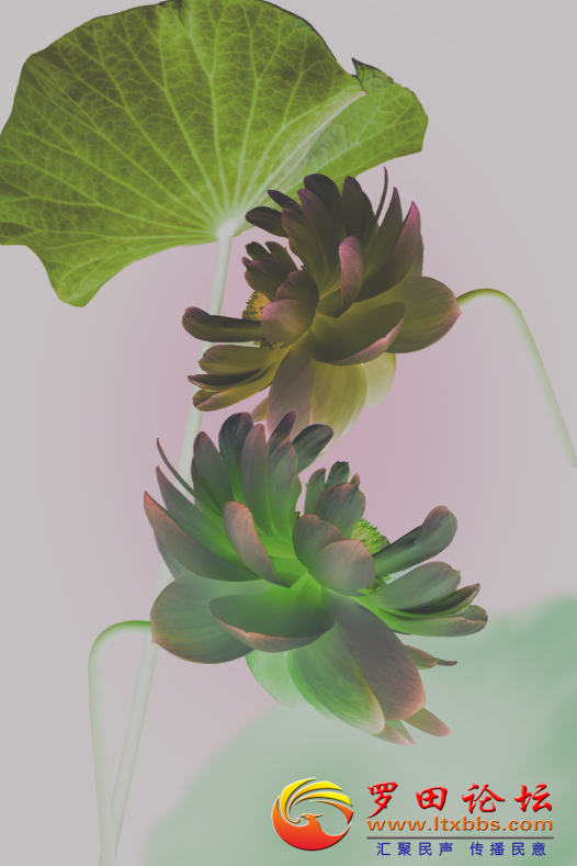 20210823_1160_1629725508126.png