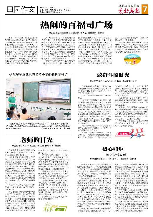 老师的目