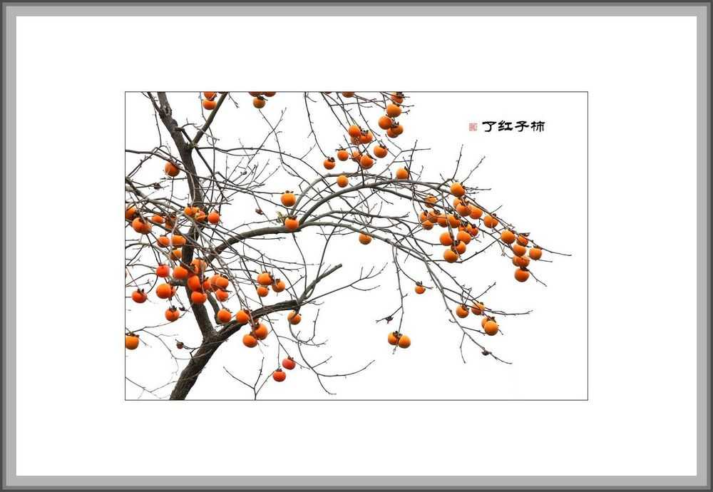IMG_0366_副本.jpg