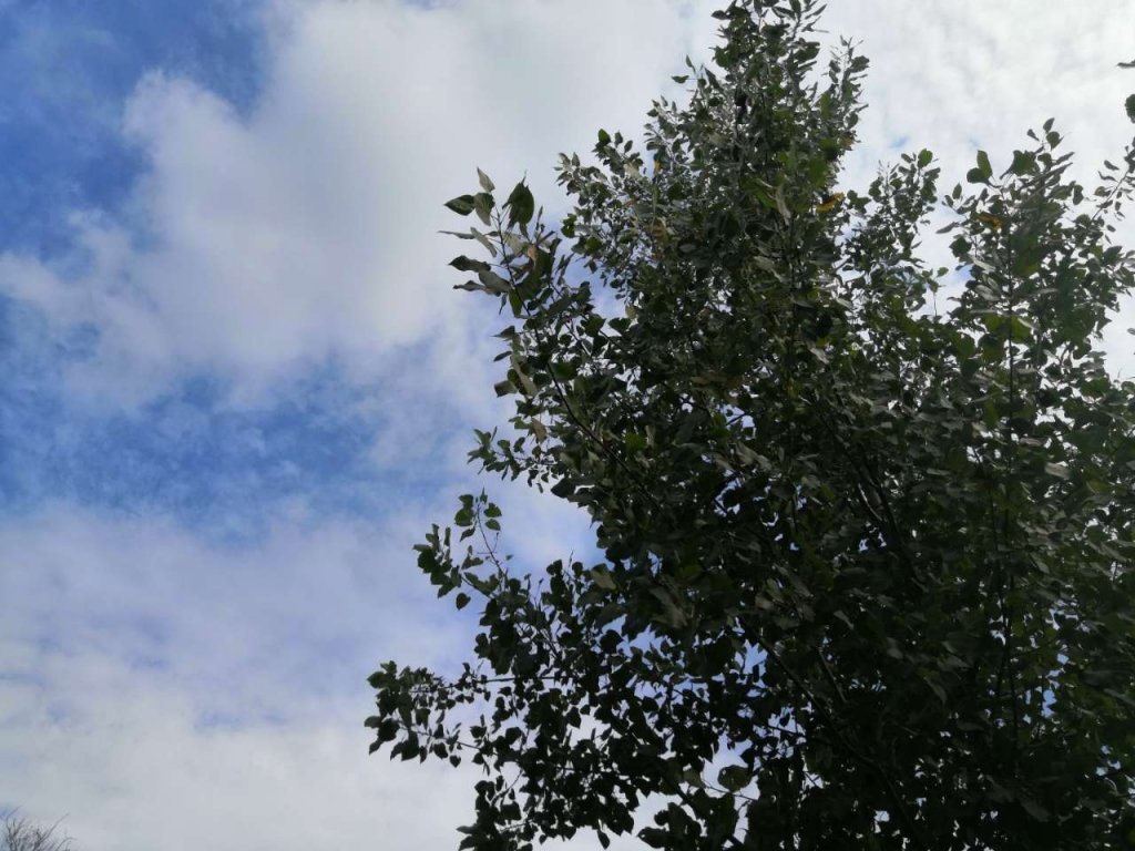 20210908_1160_1631112515861.jpg