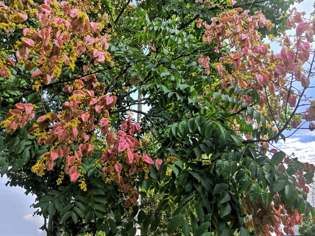 20210912_1160_1631462311962.jpg