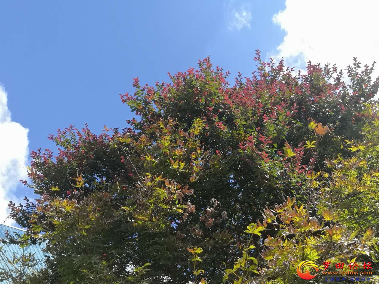 20210913_1160_1631538782307.jpg
