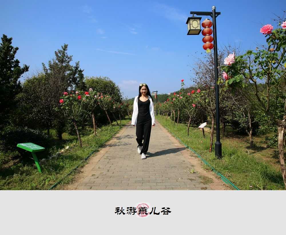 1B9A1669_副本.jpg