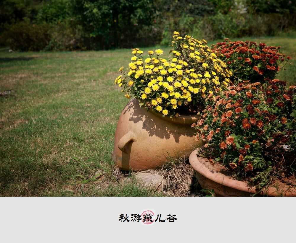 QQ图片20210916160258.jpg