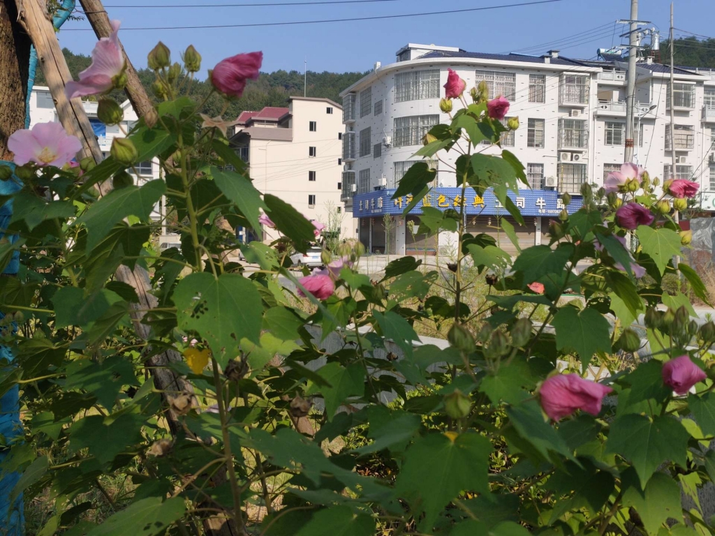 front2_0_FokO6GPoQhA2HG7b71TV26gfRVJd.1631806471.jpg