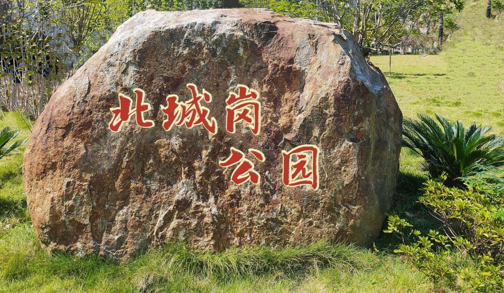 front2_0_FvE93YDFUM_zv9eEdo-eTilGnrww.1632839644_22_34_14.jpg
