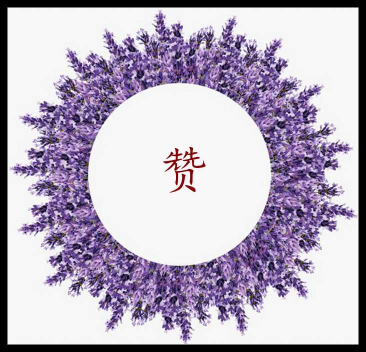 timg_副本_副本.jpg