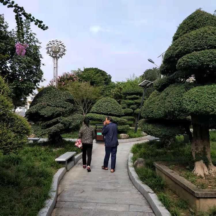 微信图片_20210927224718.jpg