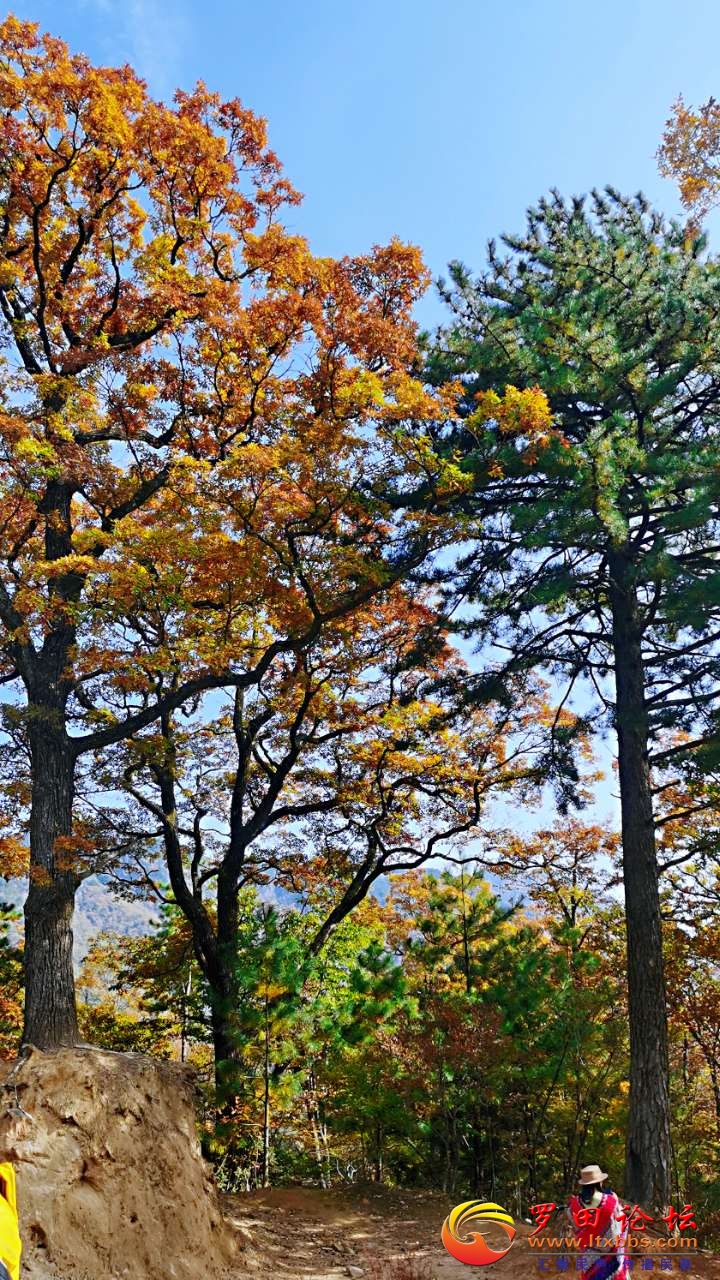 20211031_27760_1635650553693.jpg