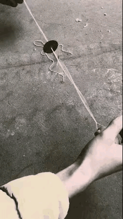 front2_0_78546_lrQSLtJgYoNcL5x5OacwaBRKSSy5.1635720125_06_42_13.gif