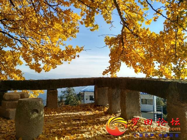 20211106_1160_1636206866740.jpg