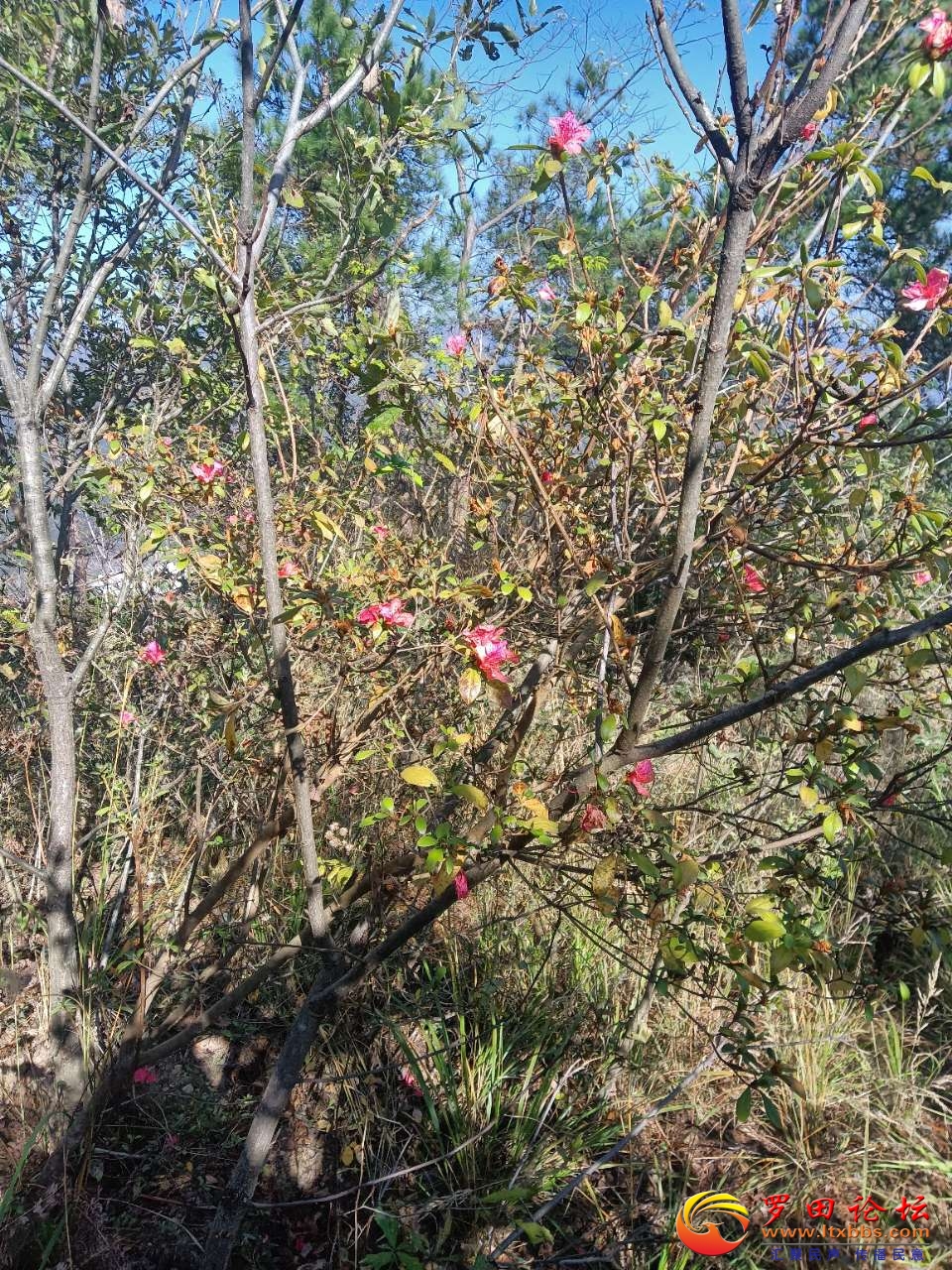 20211120_78551_1637359036181.jpg