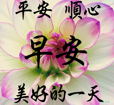 081524cx55mlmtuujr3heb.gif