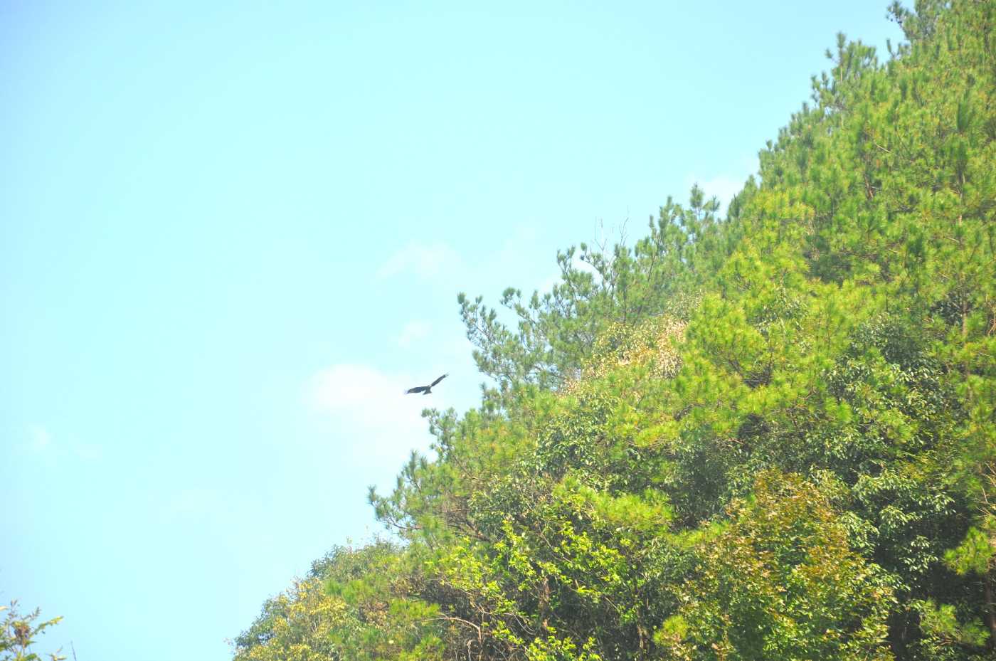 DSC_0114.jpg