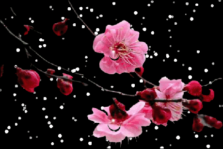 src=http%3A%2F%2Fupload-images.jianshu.io%2Fupload_images%2F8957231-34fd14cb8082b7bc.gif&refer=http%3A%2F%2Fupload-images.jianshu.io&app=2002&size=f9999,10000&q=a80&n=0&g=0n&fmt=jpeg