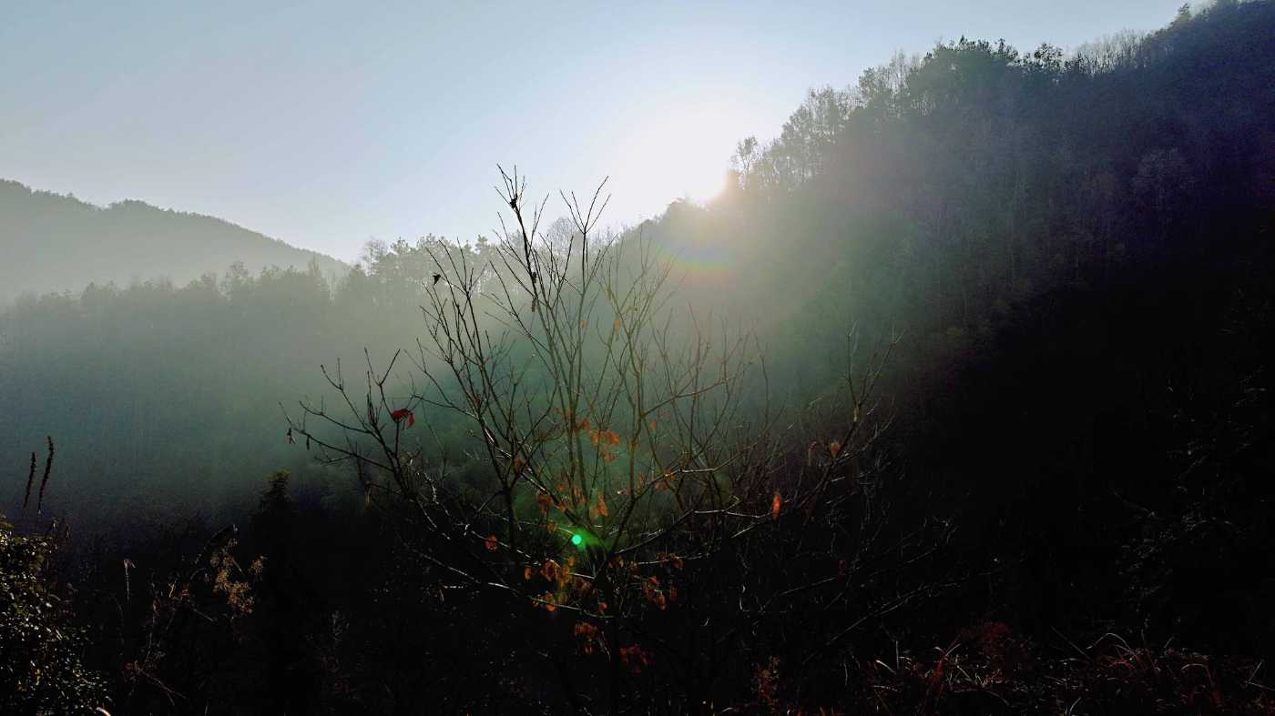 ïë 21.jpg