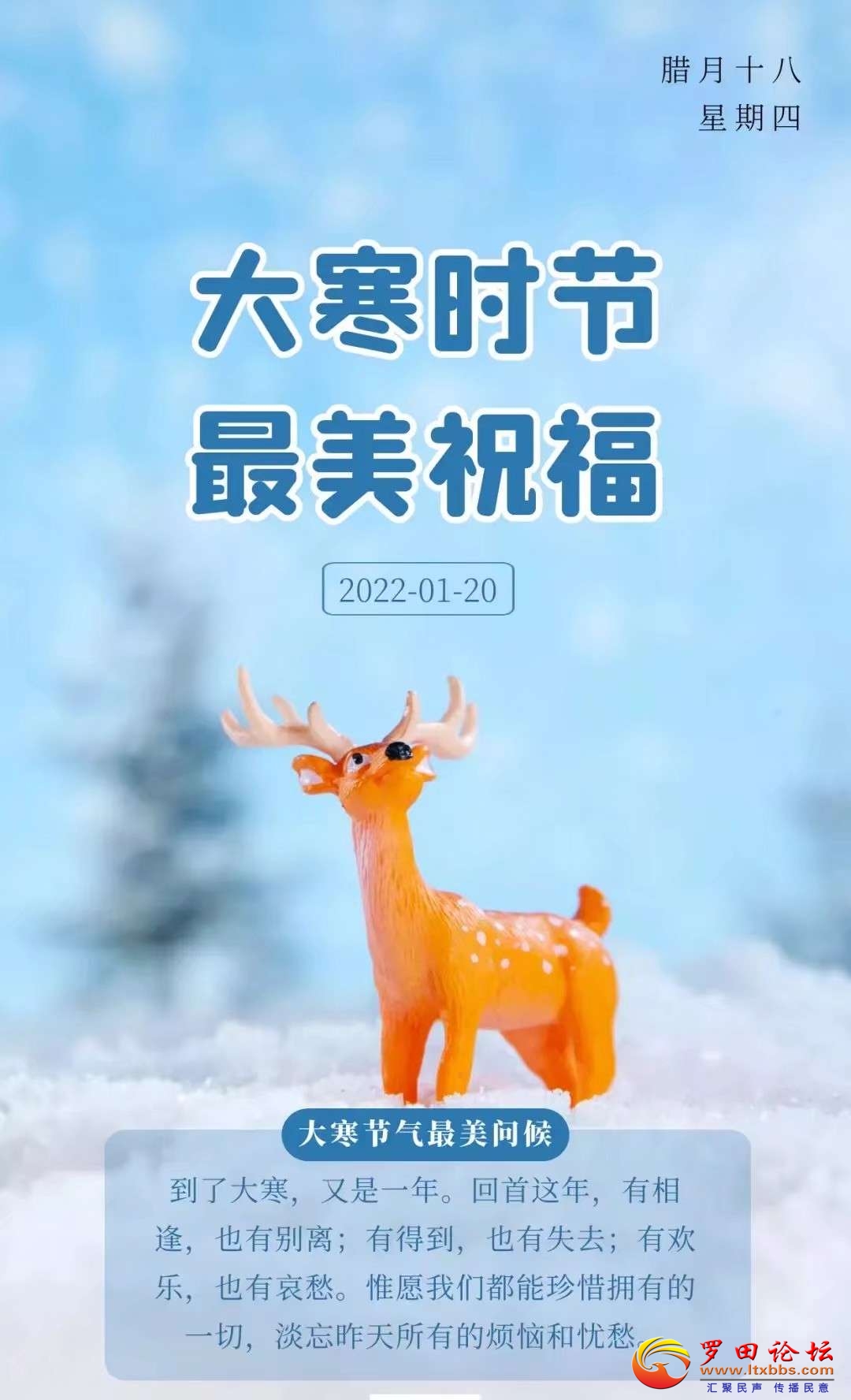 20220120132648front2_0_1160_Fnwekmj_lOxgOa1kUI4U-Ab0d63X.jpg