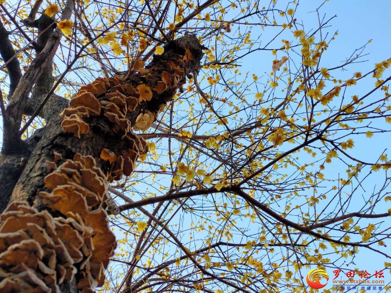 20220125_1160_1643118584527.jpg