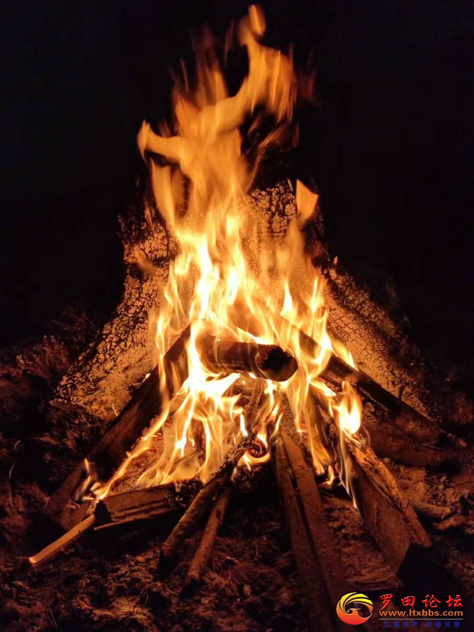 20220126_19516_1643162122343.jpg