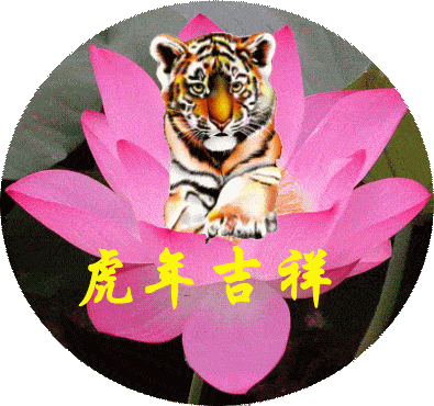 705b7ee8073444218caa5a905c6f0697.gif