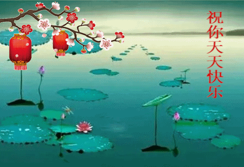 11.gif